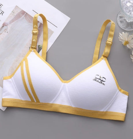 Japanese Style Small Chest Push Up Bra