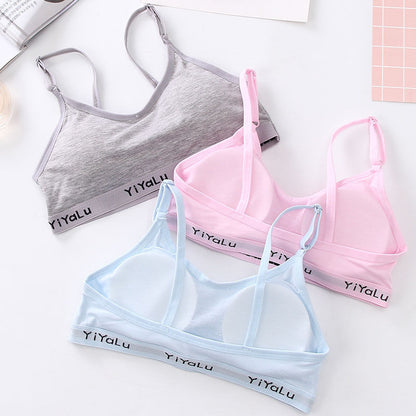 Student Korean Developmental Underwear Women