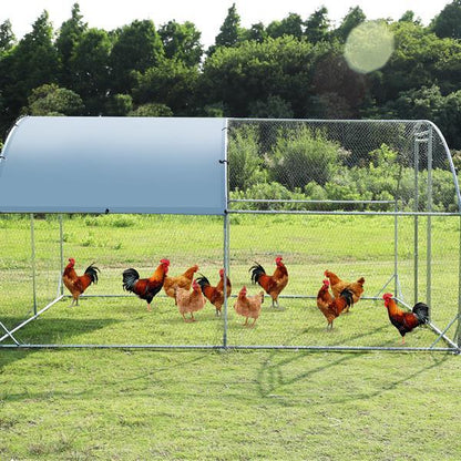 Upgrading A Large Metal Chicken Coop With Three Support Steel Wire Impregnated Mesh Cage