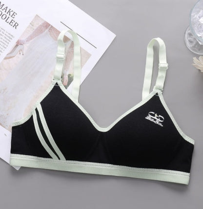 Japanese Style Small Chest Push Up Bra