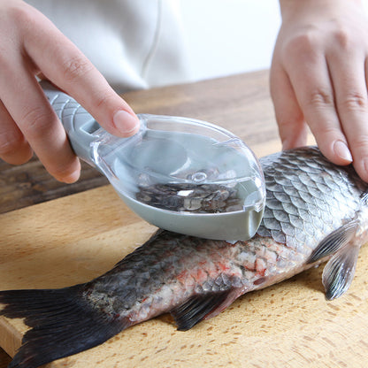 Brosse de broussaille de poisson Désassemblage rapide Couteau de poisson Nettoyage de pêche de racleur à l'échelle de poisson Outils de cuisine