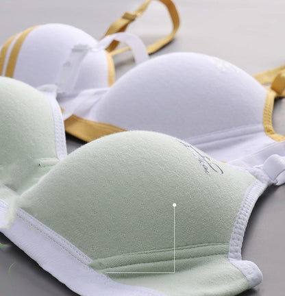 Japanese Style Small Chest Push Up Bra