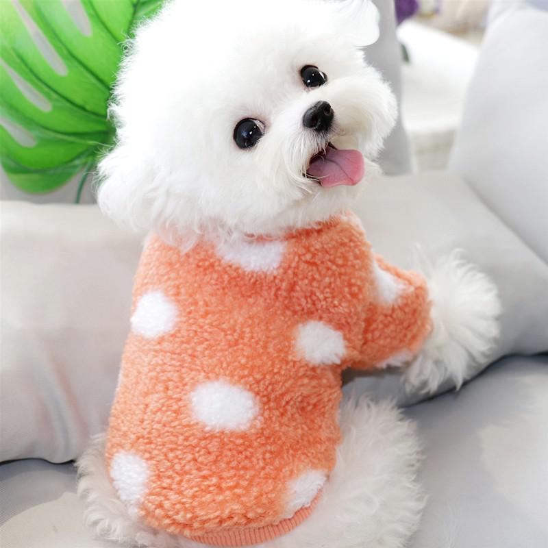 Cat Pet Teddy Bichon Pomeranian Schnauzer Yorkshire Small Poodle Dog Clothes