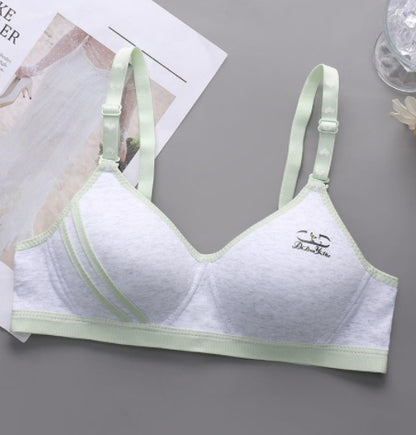 Japanese Style Small Chest Push Up Bra