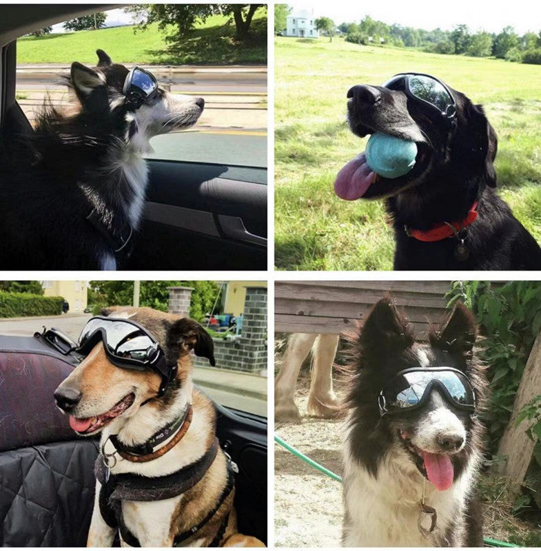 Lunettes anti-vent étanches pour animaux de compagnie imperméable et à protection UV