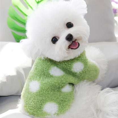 Cat Pet Teddy Bichon Pomeranian Schnauzer Yorkshire Small Poodle Dog Clothes