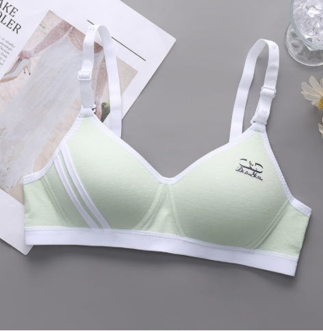 Japanese Style Small Chest Push Up Bra