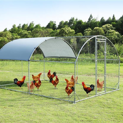 Upgrading A Large Metal Chicken Coop With Three Support Steel Wire Impregnated Mesh Cage