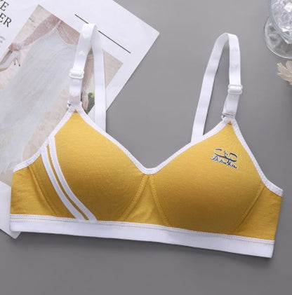 Japanese Style Small Chest Push Up Bra